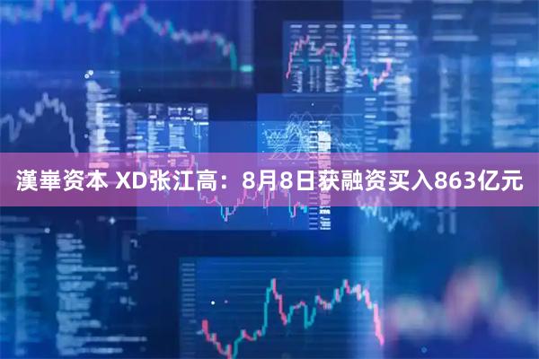 漢崋资本 XD张江高：8月8日获融资买入863亿元