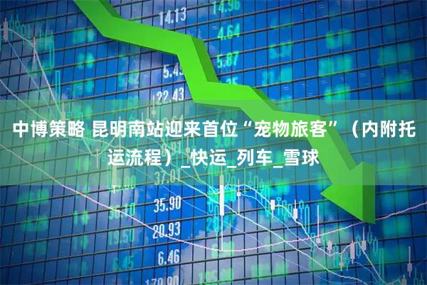 中博策略 昆明南站迎来首位“宠物旅客”（内附托运流程）_快运_列车_雪球