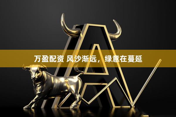 万盈配资 风沙渐远，绿意在蔓延