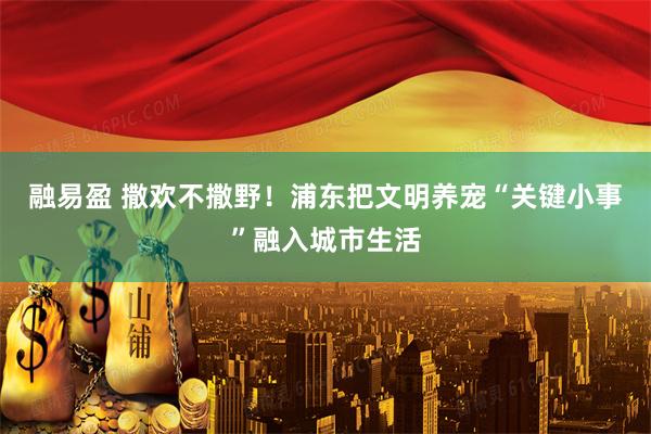 融易盈 撒欢不撒野!浦东把文明养宠“关键小事”融入城市生活
